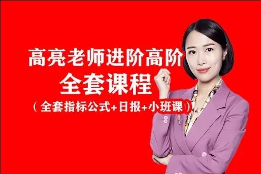 高亮-闪亮之星趋势王者全套课程(指标+日报+小班课+带更新)