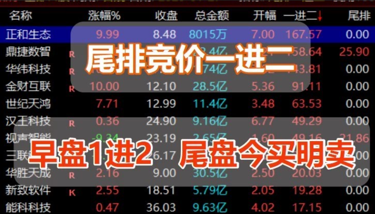【尾排一进二】尾买明卖高胜率排序指标 尾盘买入 第二天冲高卖出