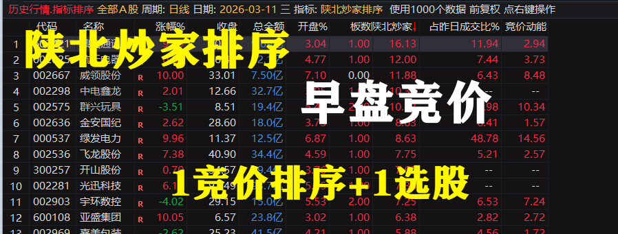 2026通达信『陕北炒家排序选股』公式套装，竞价1排序+1选股