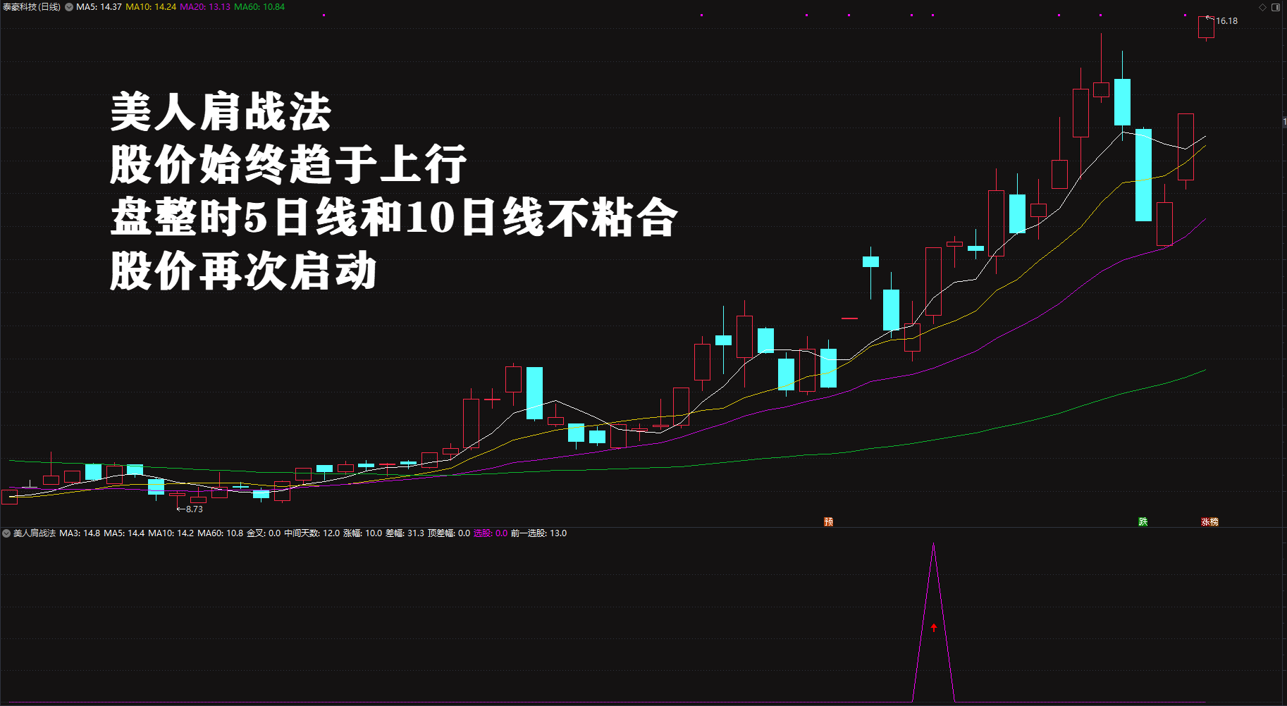 2026绝品指标二次起涨【美人肩战法】主力吸筹洗盘拉升趋势选股无未来电脑手机均可使用