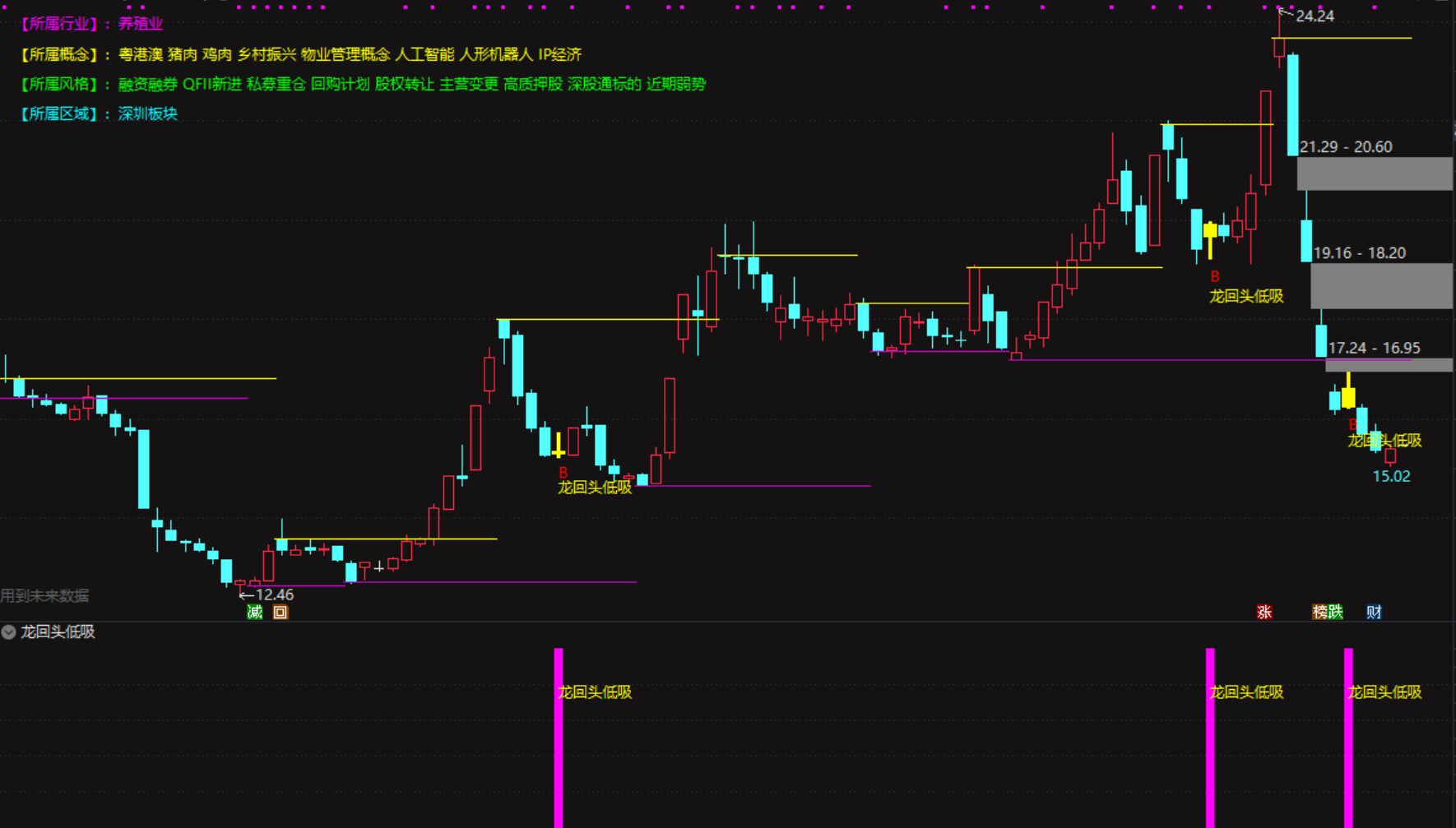 新版龙回头低吸战法，主图+幅图+选股，无未来函数，手机电脑均可安装使用