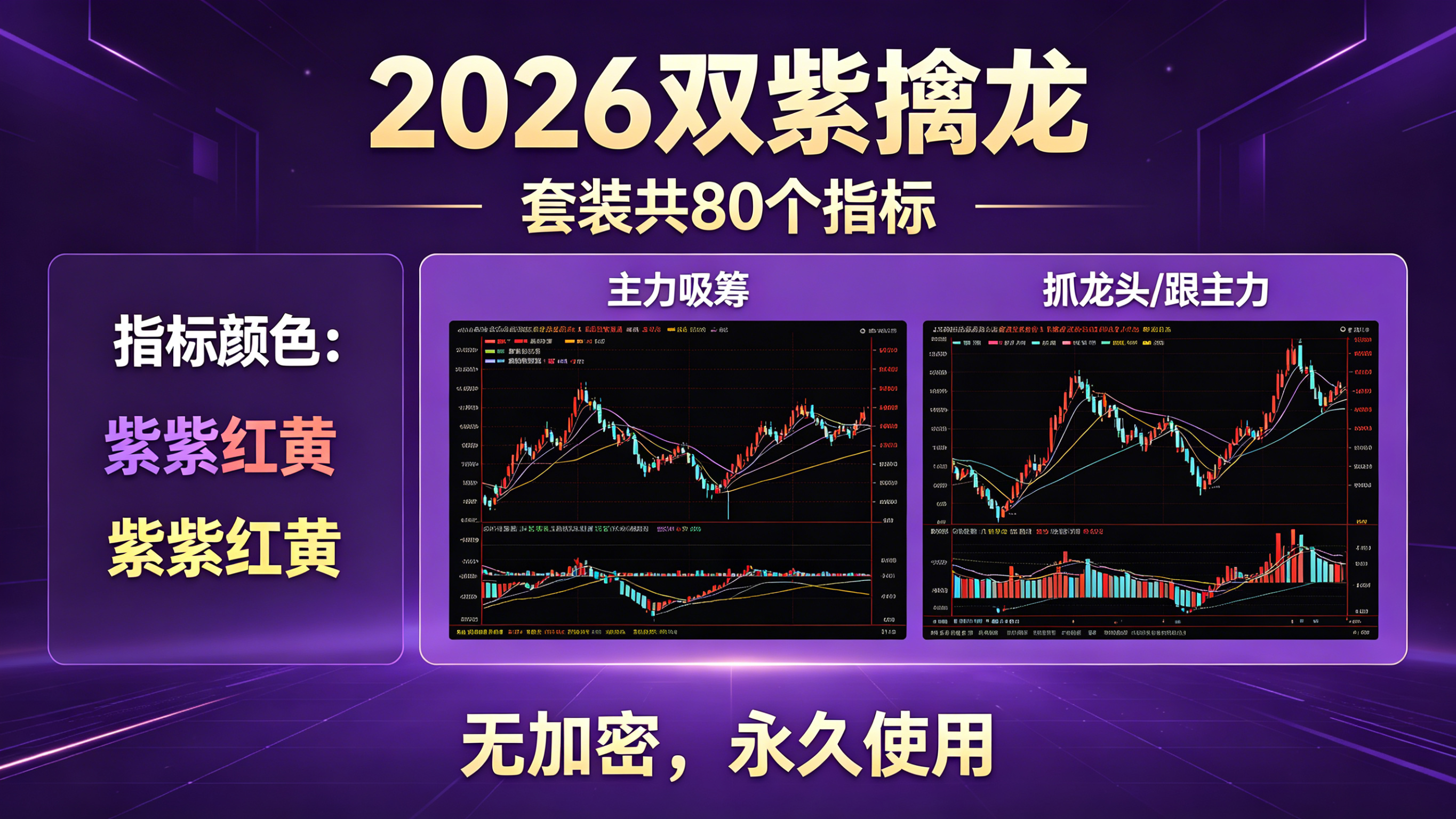 【2026双紫擒龙】:套装共80个指标 紫紫红黄 ,主力吸筹, 抓龙头,跟主力 无加密,永久使用