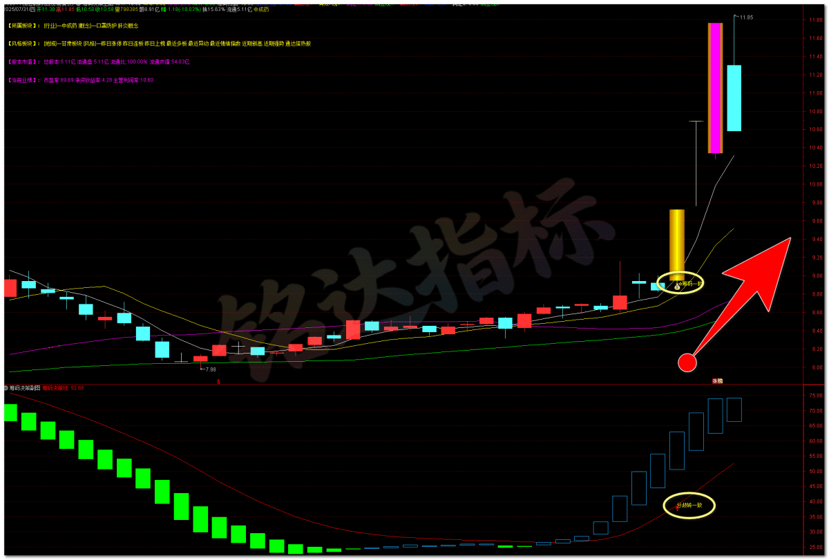 顶级筹码共振决策系统 主副图选股全套|游资动向扫描 + 分歧转一致起爆 + 潜伏低吸实战战法 顶级筹码共振决策系统 主副图选股全套|游资动向扫描 + 分歧转一致起爆 + 潜伏低吸实战战法