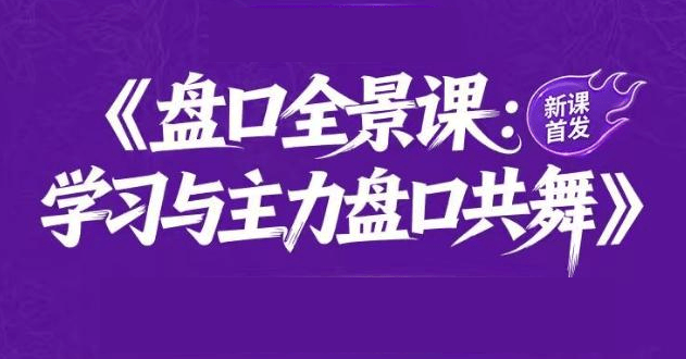盘口周期系统课+盘口全景系统课不带更新